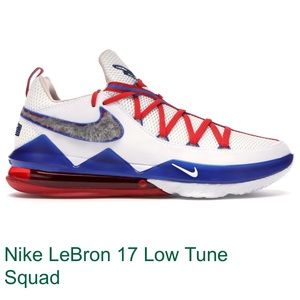 LeBron Nike Tune squad
